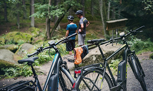In the foreground, two trekking bikes can be seen, behind them two cyclists looking at the forest.